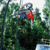 Bar Spin