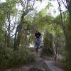 JERSEY 

JUMPING